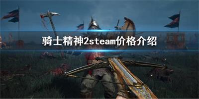 steam骑士精神2多少钱 骑士精神2售价介绍一览