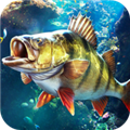 欢乐钓鱼大师官方版免费版