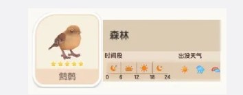 心动小镇鹪鹩在哪 心动小镇鹪鹩位置介绍