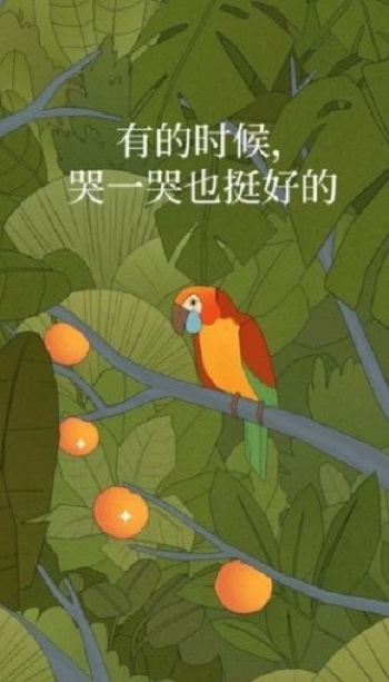 孤独的鸟儿下载中文版5