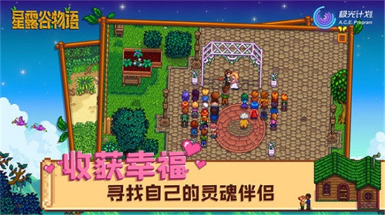星露谷物语下载中文版3
