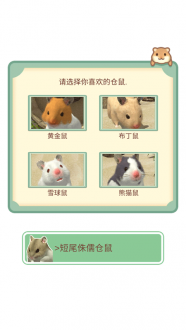 我的仓鼠游戏官方正版最新版